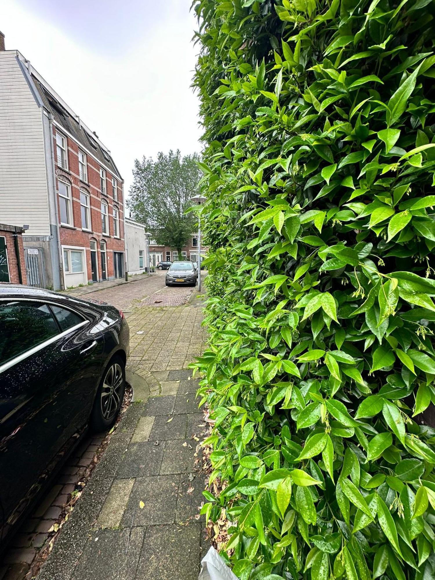 Accommodatie bij particulieren Terraced Double Bed